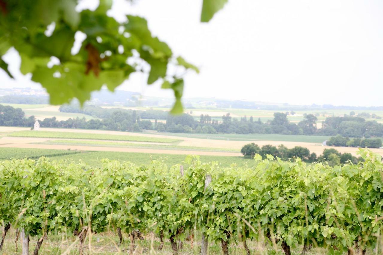 Au Coeur Des Vignes Bed and Breakfast Archiac Εξωτερικό φωτογραφία
